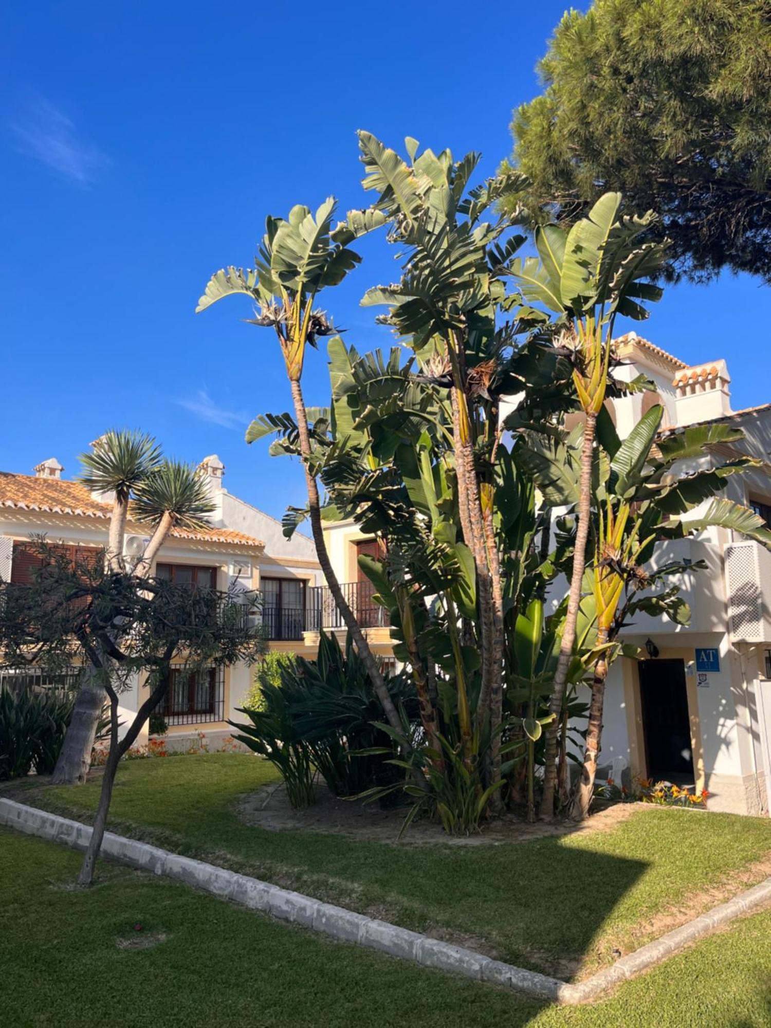 Apartamento Esquina Verde En Vera Coast Playas de Vera 외부 사진