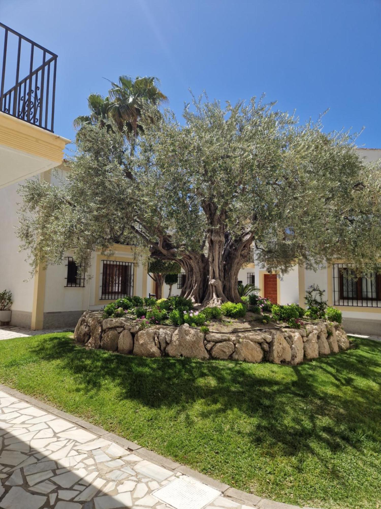 Apartamento Esquina Verde En Vera Coast Playas de Vera 외부 사진