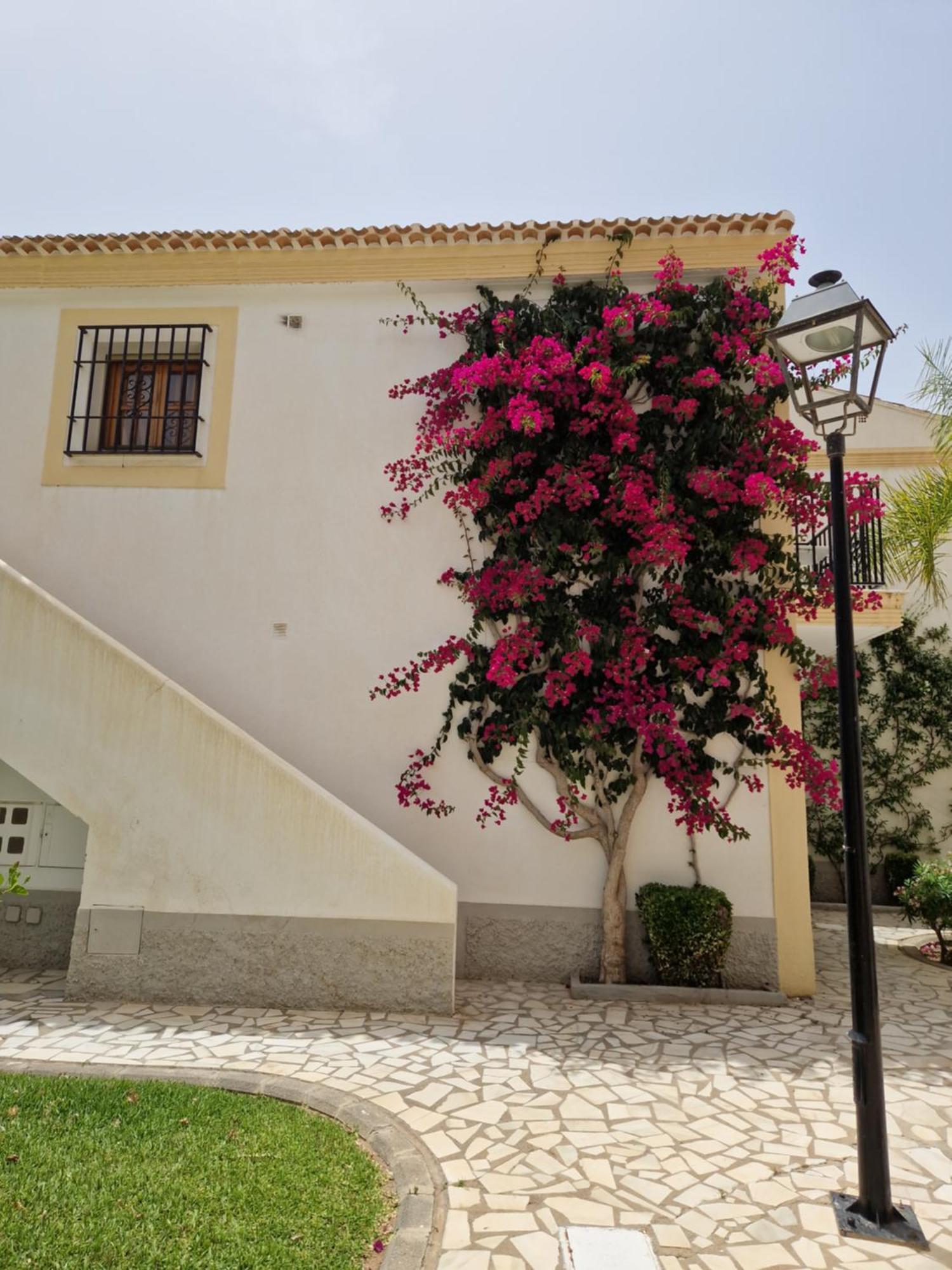 Apartamento Esquina Verde En Vera Coast Playas de Vera 외부 사진